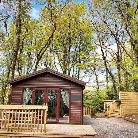 Woodland View -Hot Tub-Tenby-Carmarthen-圣克莱尔斯 外观 照片